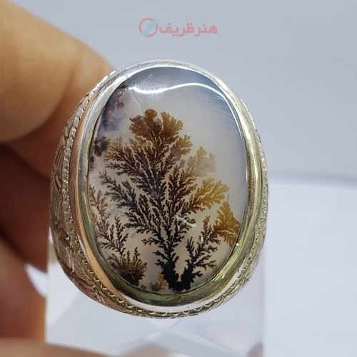خرید، قیمت و مشخصات انگشتر شجر تک درخت فوق کلکسیونی رکاب تخصصی فدیوم، زیر قیمت بازار | هنرظریف