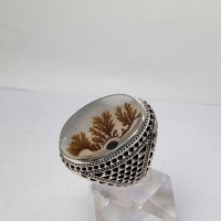 خرید، قیمت و مشخصات، انگشتر شجر منظره کلکسیونی کیفیت عالی رکاب فدیوم درجه یک، زیر قیمت بازار | هنر ظریف