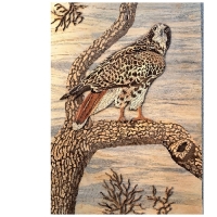 خرید، قیمت و مشخصات تابلو معرق چوب با کیفیت بی نظیر و طراحی های فوق العاده زیبا - هنرظریف